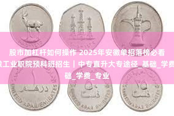 股市加杠杆如何操作 2025年安徽单招落榜必看｜安徽工业职院预科班招生｜中专直升大专途径_基础_学费_专业