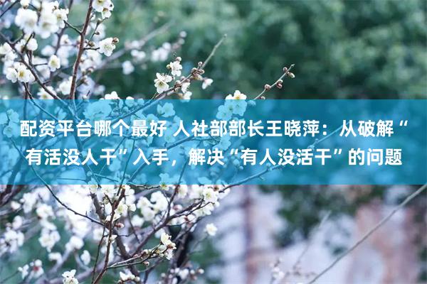 配资平台哪个最好 人社部部长王晓萍：从破解“有活没人干”入手，解决“有人没活干”的问题