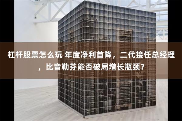 杠杆股票怎么玩 年度净利首降，二代接任总经理，比音勒芬能否破局增长瓶颈？