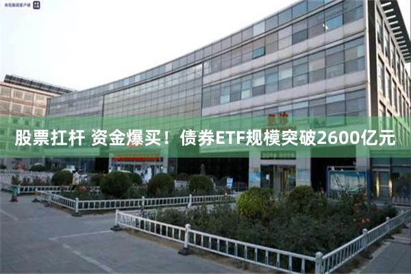 股票扛杆 资金爆买！债券ETF规模突破2600亿元