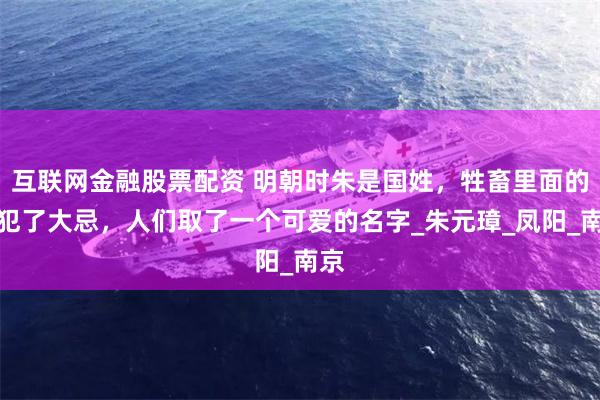 互联网金融股票配资 明朝时朱是国姓，牲畜里面的猪犯了大忌，人们取了一个可爱的名字_朱元璋_凤阳_南京