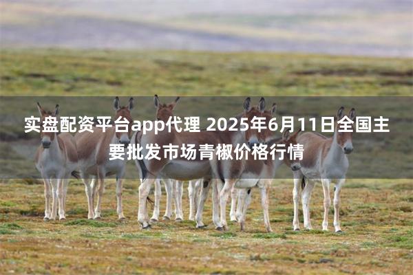 实盘配资平台app代理 2025年6月11日全国主要批发市场青椒价格行情