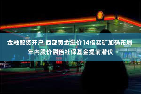 金融配资开户 西部黄金溢价14倍买矿加码布局 年内股价翻倍社保基金提前潜伏