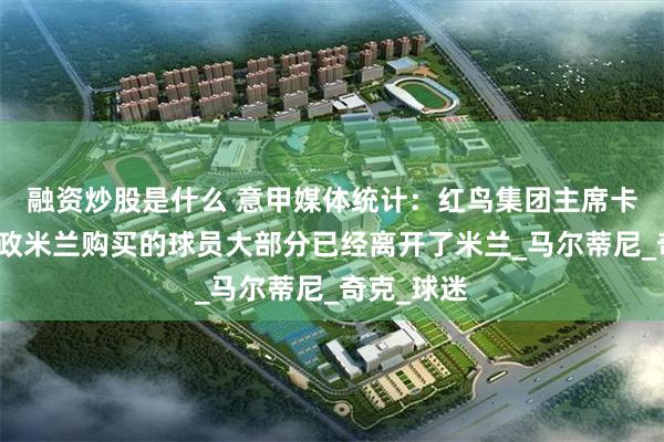 融资炒股是什么 意甲媒体统计：红鸟集团主席卡迪纳莱主政米兰购买的球员大部分已经离开了米兰_马尔蒂尼_奇克_球迷