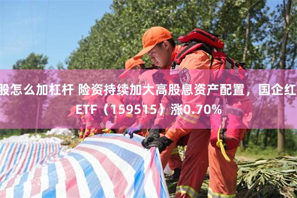 a股怎么加杠杆 险资持续加大高股息资产配置，国企红利ETF（159515）涨0.70%