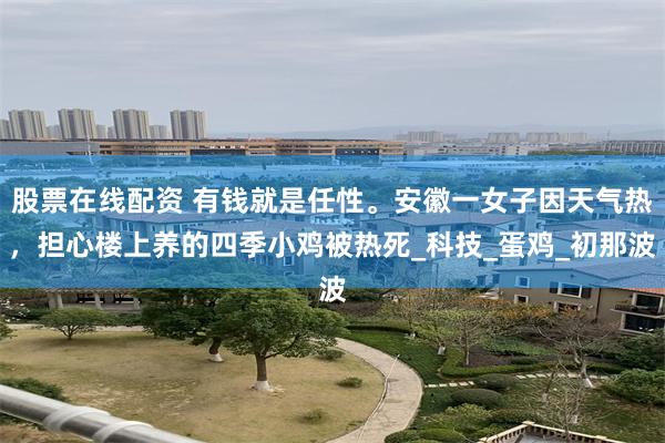 股票在线配资 有钱就是任性。安徽一女子因天气热，担心楼上养的四季小鸡被热死_科技_蛋鸡_初那波