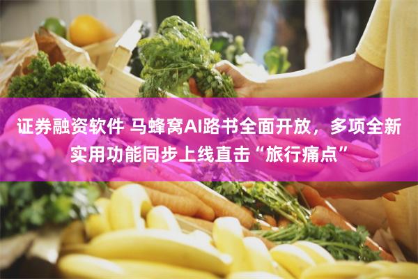 证券融资软件 马蜂窝AI路书全面开放，多项全新实用功能同步上线直击“旅行痛点”