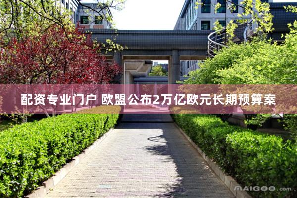 配资专业门户 欧盟公布2万亿欧元长期预算案